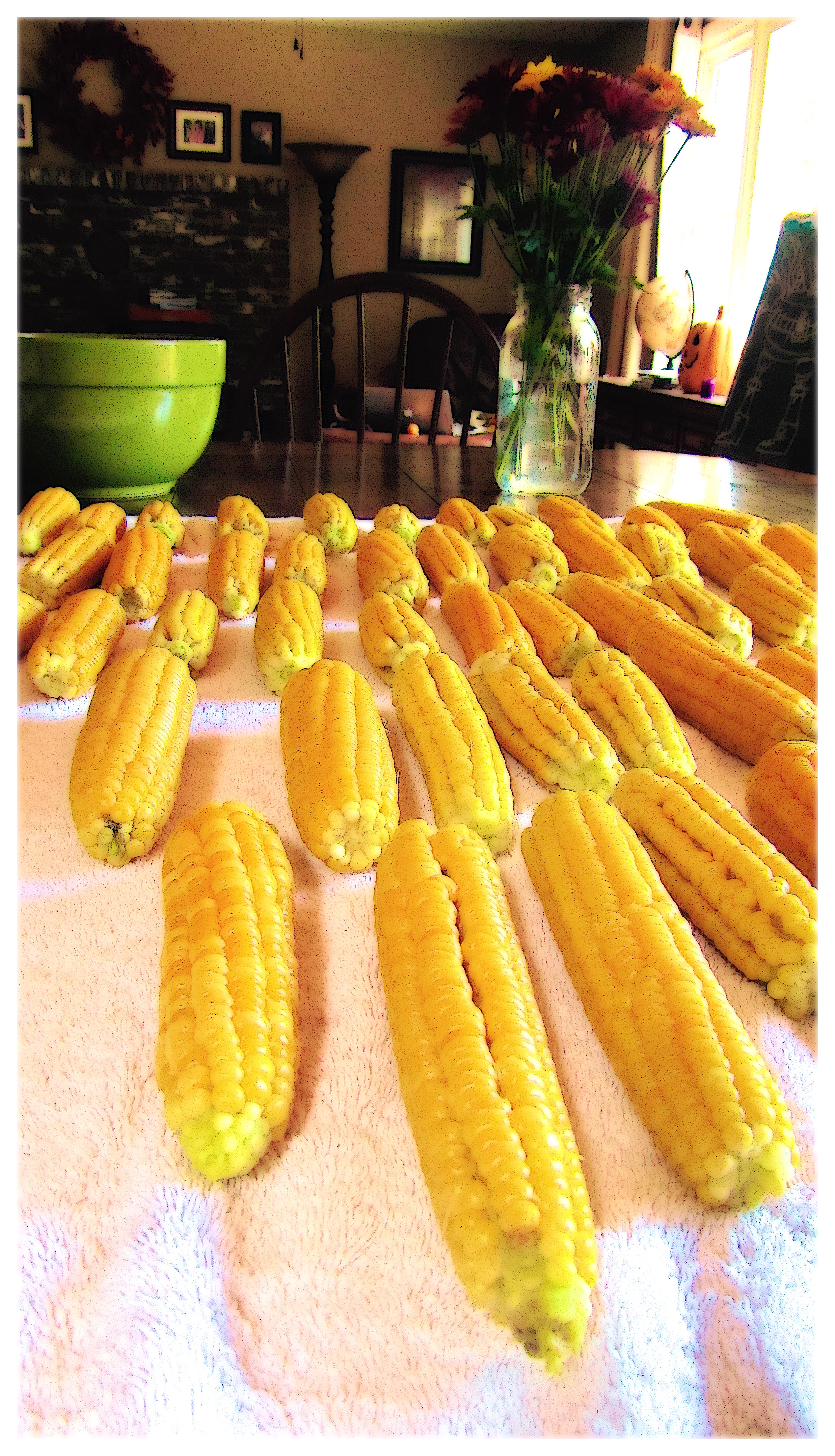 saving-corn